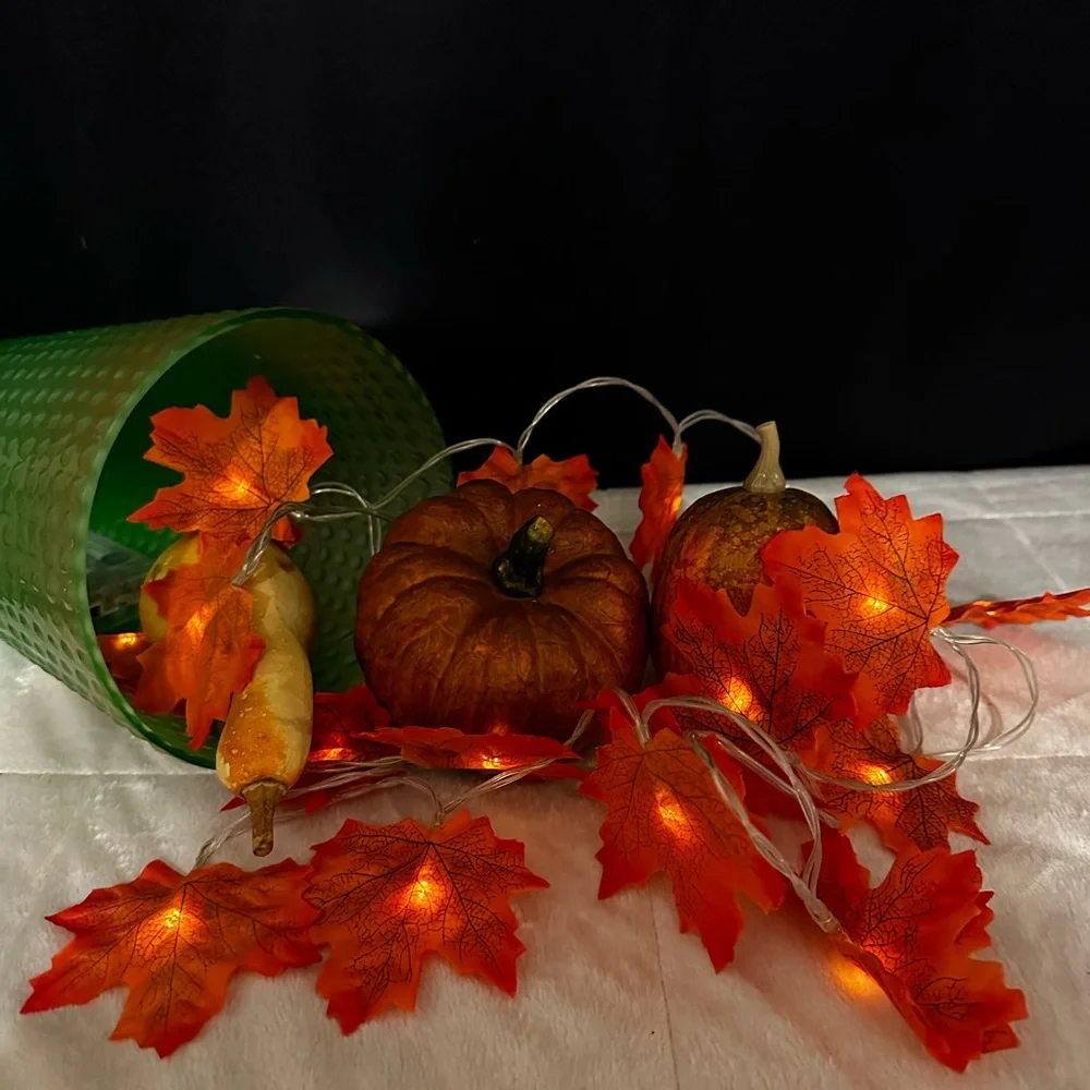 Set Of 2 Double Sided Battery Operated Maple Leaves 🍁 Lights
